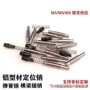 幕牆彈（dàn）簧銷（xiāo）之天津合成生物項目部
